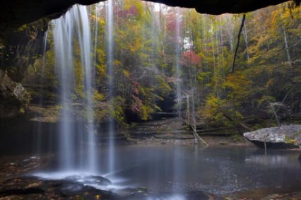 Experience the wonder of the Bankhead National Forest