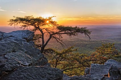 Explore new heights at Cheaha State Park