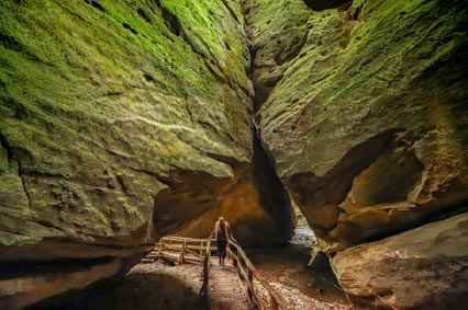 Explore nature in its purest form at Dismals Canyon
